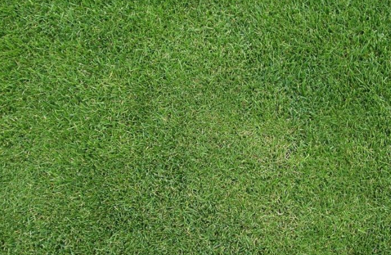 1763798728151812.png 人造草坪