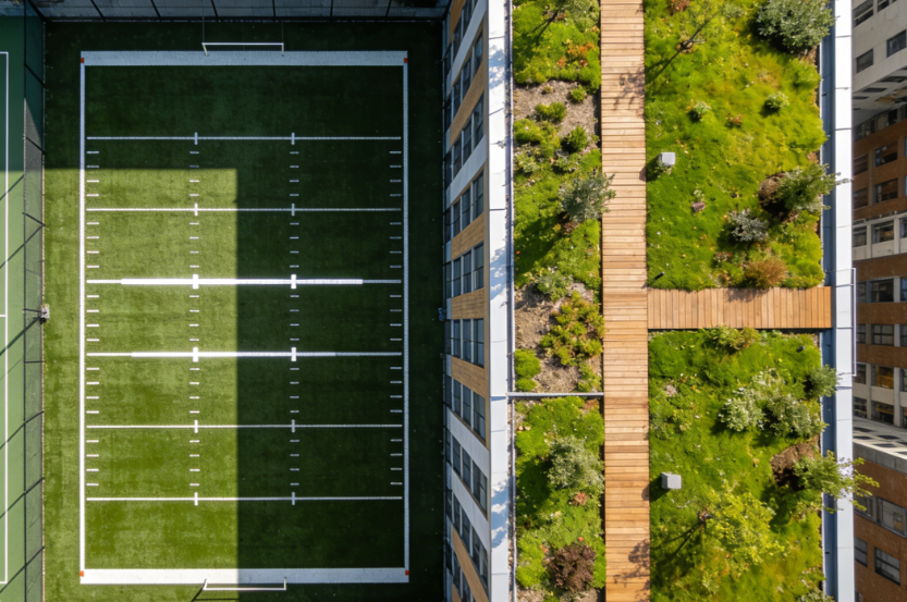 1769236009114040.png 橄榄球场仿真草坪