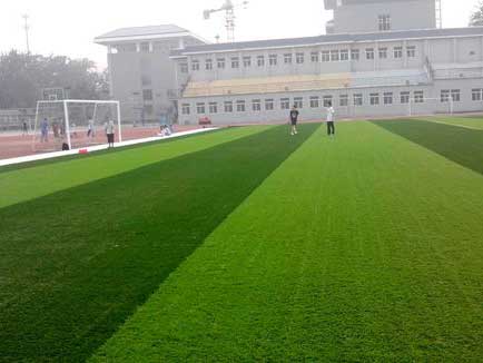 学校足球场草坪