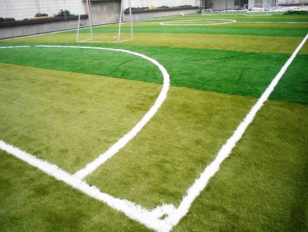 足球场天然草坪施工方案