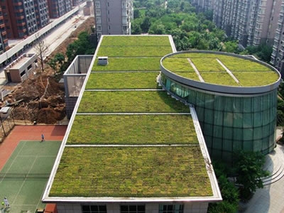 屋顶绿化构造