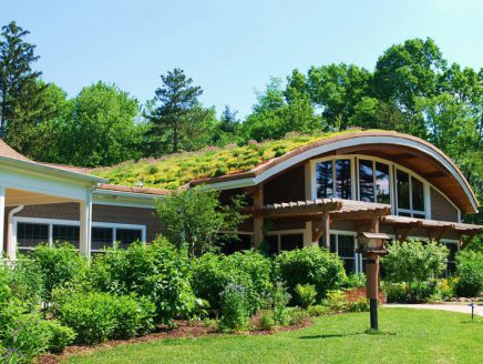 屋顶绿化做法