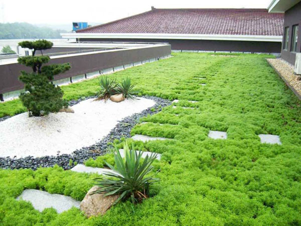 屋顶绿化防水