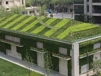 屋顶绿化覆土厚度
