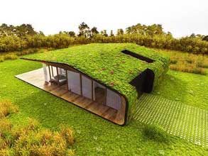建筑屋顶绿化