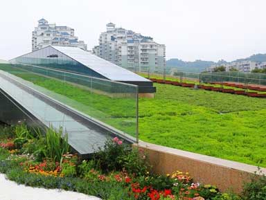 拓展型屋顶绿化