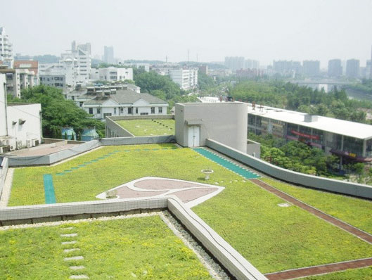 屋顶绿化花盆