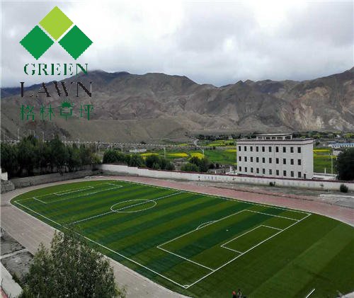 西藏措美县中学足球场